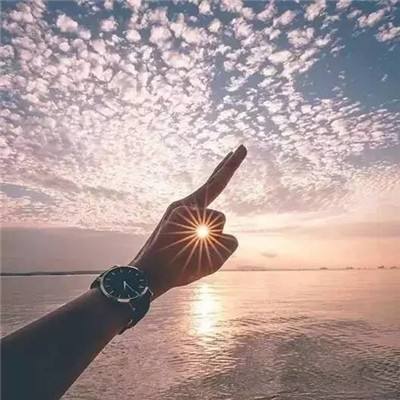 神奇绘图中文版下载